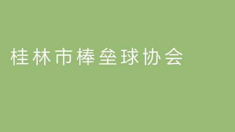 桂林市棒垒球协会