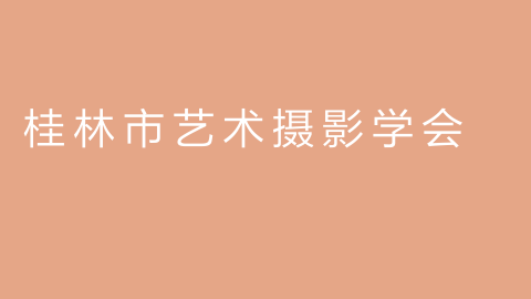 桂林市艺术摄影学会的图片